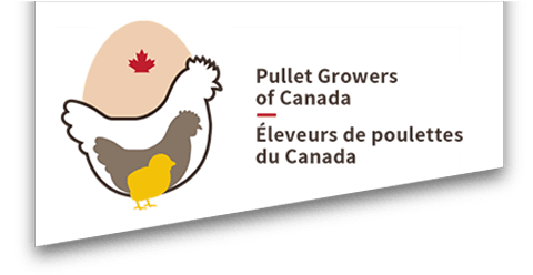 Éleveurs de poulettes du Canada
